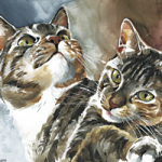 Caramel - Wild and Free by Timo Wuerz