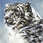 Schneeleopard - Wild and Free by Timo Wuerz