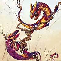 Mybranch - Webbelart