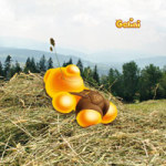 Gelini - Heu Nickerchen - Gelini