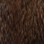 Fourrure d'hiver - DeinDesign