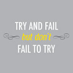 Try and Fail - Statement Collection