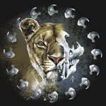 Entscheidung - Wild and Free by Timo Wuerz