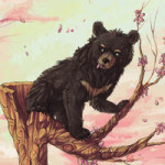 bearpink - Webbelart