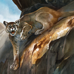 Puma 2 - Wild and Free by Timo Wuerz