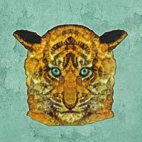 Tigre menthe  - Ancello