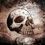 The Skull - Florian Walz