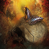 Skullbarbaren Butterfly - Greenfeed