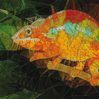 Changing Colors - Ancello