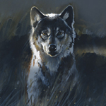 Wolf 2 - Wild and Free by Timo Wuerz