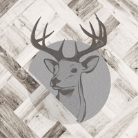 Miracle de la forêt  - DeinDesign