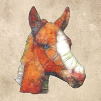 Horse Profile - Ancello