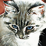 Flöckchen - Wild and Free by Timo Wuerz