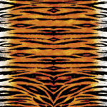 Tigerfell - Wild and Free by Timo Wuerz