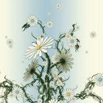 Roboflower - Iune Wind