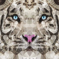 Crystal Tiger - Ancello