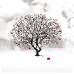 Rêve d'hiver - DeinDesign