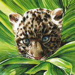 Leoparden Baby - Wild and Free by Timo Wuerz