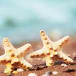 Seesterne - DeinDesign