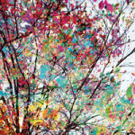 Autumn8 - Mareike Böhmer