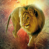 Lions 2014 - Greenfeed