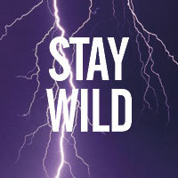 Stay Wild - HASHTAGSTUFF