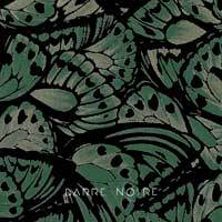 Ailes vertes - BARRE NOIRE