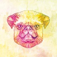 Sunshine Dog - Ancello