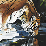 Tiger 2 - Wild and Free by Timo Wuerz