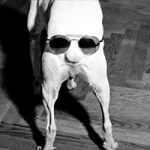 Wie die Nase eines Mannes - Oliver Rath