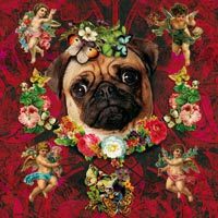 Mopsi Engel Blumen - Margarita Kriebitzsch