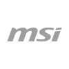 MSI