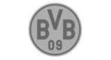 Borussia Dortmund Handyhüllen