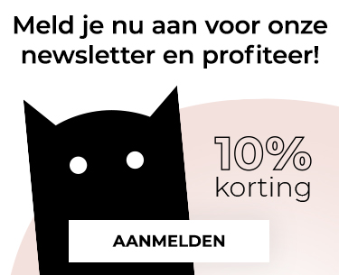 Sinterklaascadeau ideeën